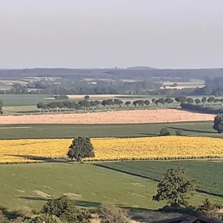 Réz De Jardin - Horizon Doré *